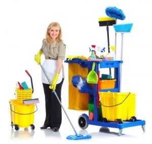 Cleaners Central: Domestic cleaning