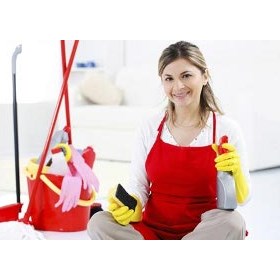 Cleaners Central: Domestic cleaning